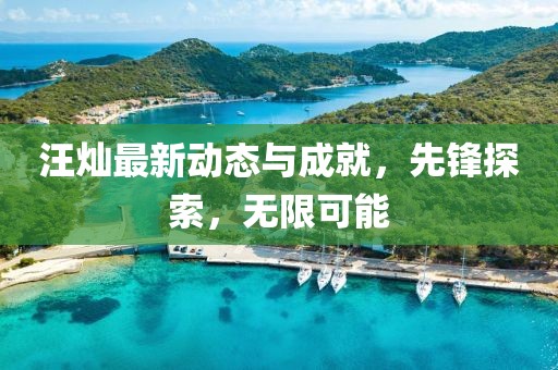 汪灿最新动态与成就，先锋探索，无限可能