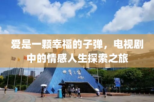 爱是一颗幸福的子弹，电视剧中的情感人生探索之旅