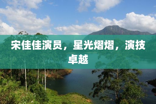 宋佳佳演员，星光熠熠，演技卓越