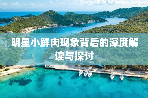 明星小鲜肉现象背后的深度解读与探讨
