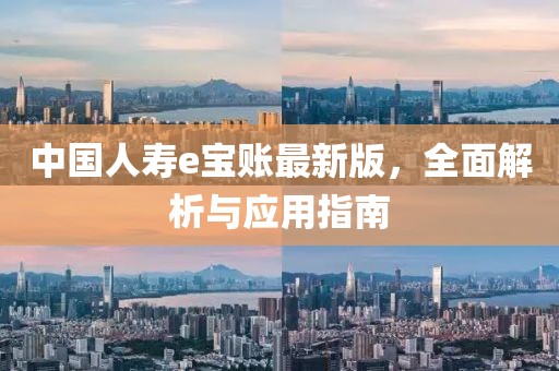 中国人寿e宝账最新版,全面解析与应用指南