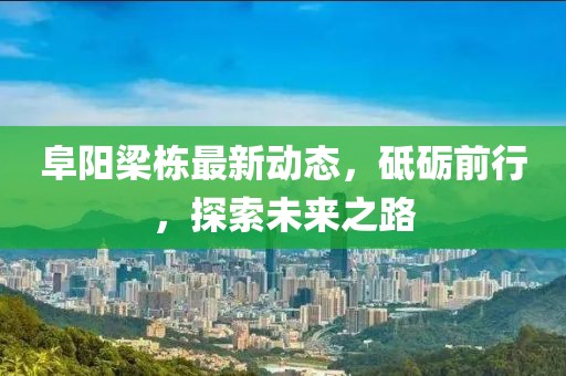阜阳梁栋最新动态,砥砺前行,探索未来之路