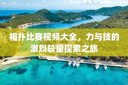 相扑比赛视频大全,力与技的激烈较量探索之旅
