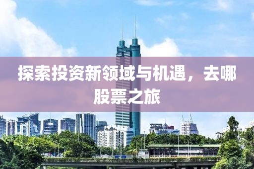 探索投资新领域与机遇，去哪股票之旅
