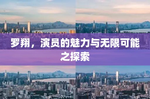 罗翔,演员的魅力与无限可能之探索