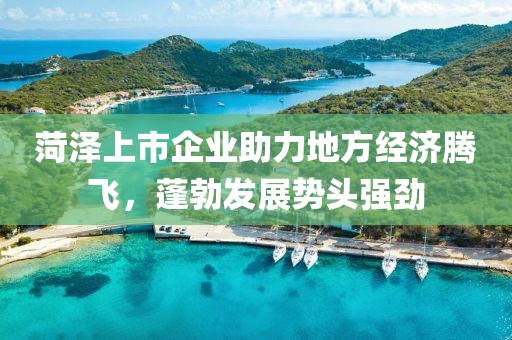菏泽上市企业助力地方经济腾飞，蓬勃发展势头强劲