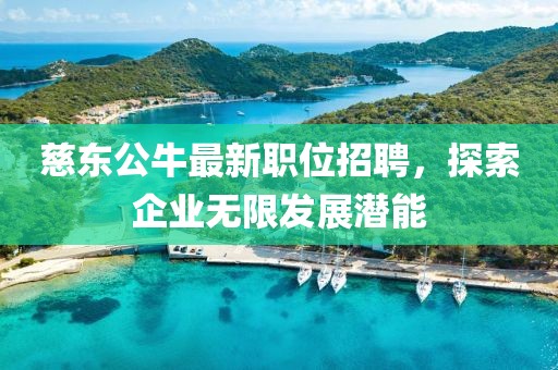慈东公牛最新职位招聘,探索企业无限发展潜能