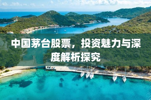 中国茅台股票,投资魅力与深度解析探究