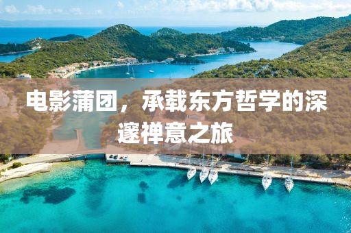 电影蒲团，承载东方哲学的深邃禅意之旅