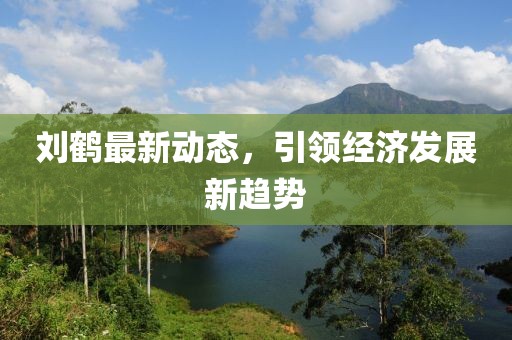 刘鹤最新动态，引领经济发展新趋势