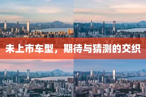 未上市车型，期待与猜测的交织