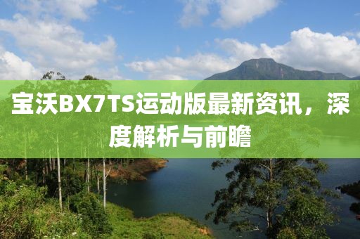 宝沃BX7TS运动版最新资讯，深度解析与前瞻