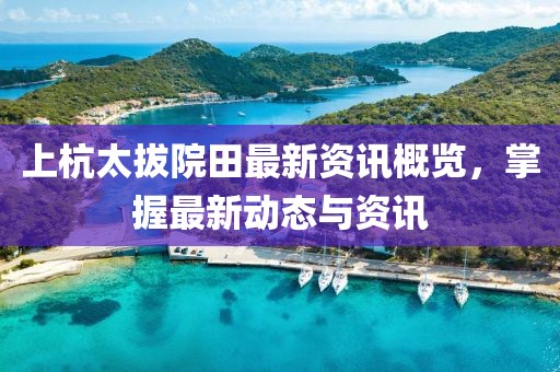 鱼死了 第17页