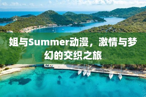 姐与Summer动漫，激情与梦幻的交织之旅