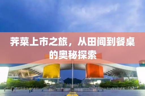 荠菜上市之旅，从田间到餐桌的奥秘探索