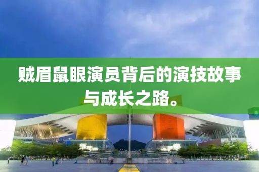 贼眉鼠眼演员背后的演技故事与成长之路。