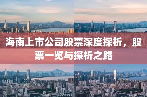 海南上市公司股票深度探析，股票一览与探析之路