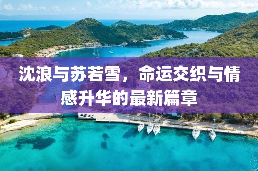 沈浪与苏若雪,命运交织与情感升华的最新篇章