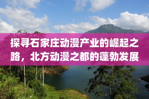 探寻石家庄动漫产业的崛起之路,北方动漫之都的蓬勃发展