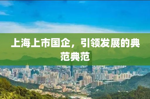 上海上市国企，引领发展的典范典范