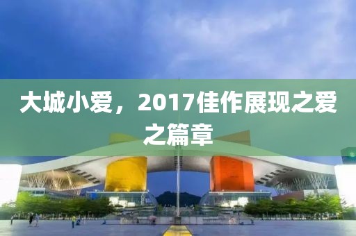 大城小爱，2017佳作展现之爱之篇章