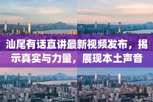 汕尾有话直讲最新视频发布,揭示真实与力量,展现本土声音