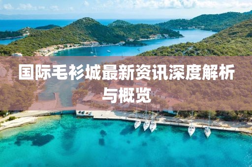 国际毛衫城最新资讯深度解析与概览