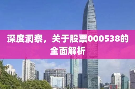 深度洞察,关于股票000538的全面解析