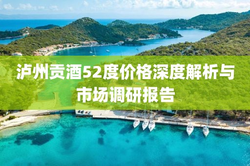 泸州贡酒52度价格深度解析与市场调研报告