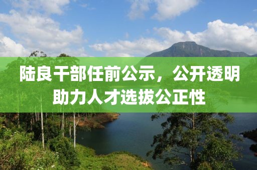 陆良干部任前公示，公开透明助力人才选拔公正性