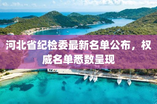 河北省纪检委最新名单公布，权威名单悉数呈现