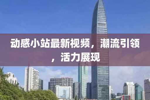 动感小站最新视频，潮流引领，活力展现