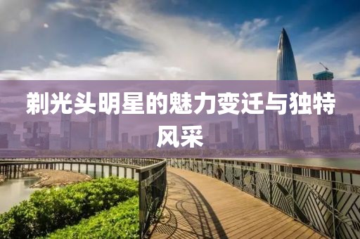 剃光头明星的魅力变迁与独特风采
