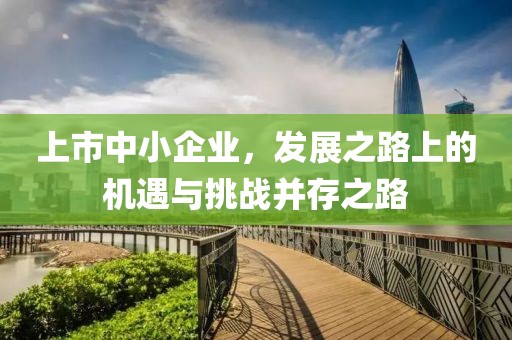 上市中小企业，发展之路上的机遇与挑战并存之路