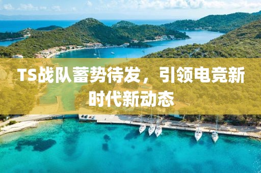 TS战队蓄势待发，引领电竞新时代新动态