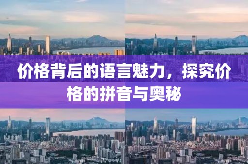 价格背后的语言魅力，探究价格的拼音与奥秘