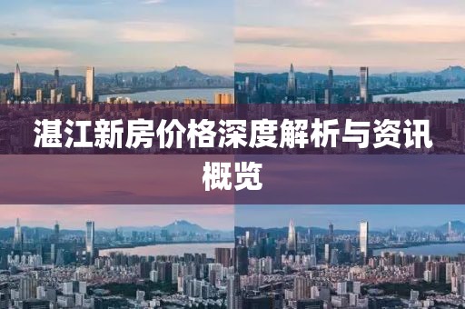 湛江新房价格深度解析与资讯概览