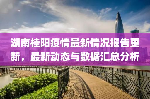 湖南桂阳疫情最新情况报告更新，最新动态与数据汇总分析