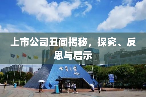 上市公司丑闻揭秘，探究、反思与启示