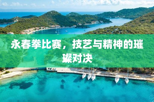 永春拳比赛，技艺与精神的璀璨对决