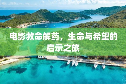 电影救命解药，生命与希望的启示之旅
