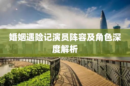 婚姻遇险记演员阵容及角色深度解析