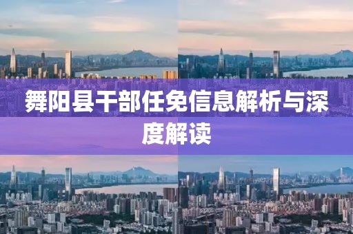 舞阳县干部任免信息解析与深度解读