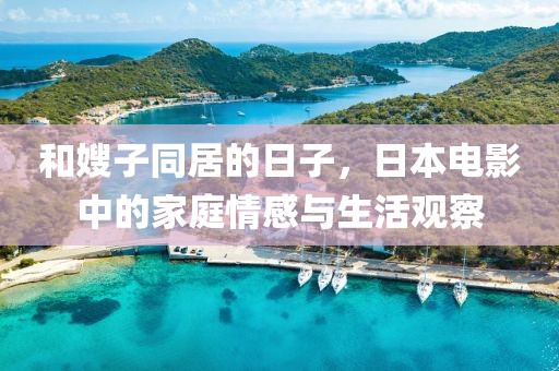和嫂子同居的日子，日本电影中的家庭情感与生活观察