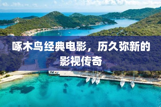 啄木鸟经典电影，历久弥新的影视传奇