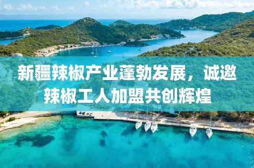 新疆辣椒产业蓬勃发展，诚邀辣椒工人加盟共创辉煌
