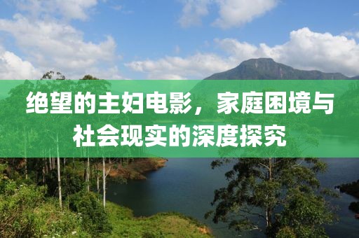 绝望的主妇电影，家庭困境与社会现实的深度探究
