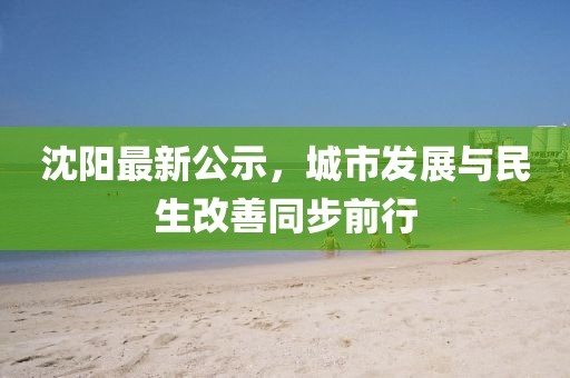 沈阳最新公示，城市发展与民生改善同步前行