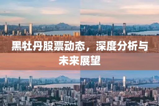 黑牡丹股票动态，深度分析与未来展望