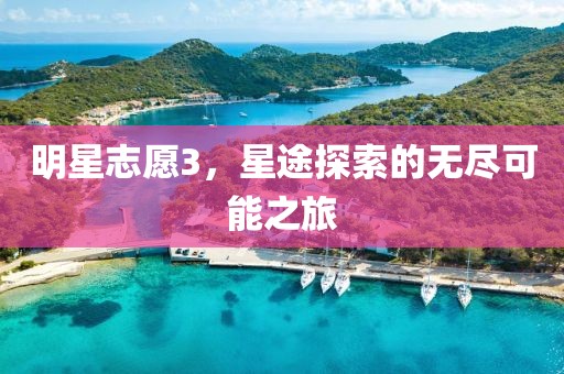 明星志愿3，星途探索的无尽可能之旅